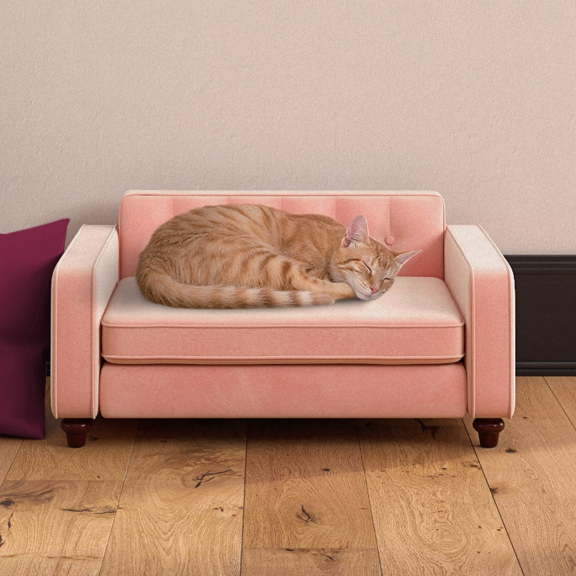 collections/cat-furniture.jpg