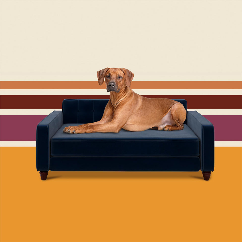 Ollie & Hutch Pin Tufted Pet Sofa, Large Size - Blue - Large
