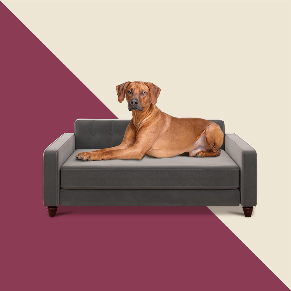 Ollie & Hutch Pin Tufted Pet Sofa, Large Size - Gray - Large